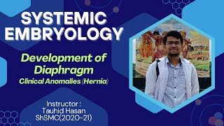 Development of Diaphragm  Diaphragmatic Hernia amp Clinical Anomalies  Explained in details [upl. by Temp]