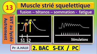 Muscle strié squelettique fusion des secousses  sommation  tétanos parfait et imparfait  fatigue [upl. by Sorodoeht]