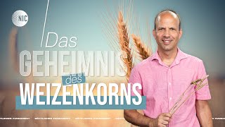 Das Geheimnis des Weizenkorns  04082024  Ps Stephane Decrauzat [upl. by Gehman487]