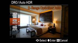 How To Photograph Interiors With Auto HDR on Sony Cameras [upl. by Groscr]