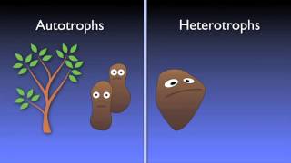 Wastewater Instructional Video Wastewater Nitrification [upl. by Norina]