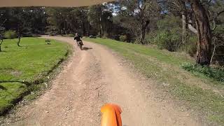 Concurring the mighty Comet Spur Track on the KTM 450 SXF [upl. by Hgeilyak]