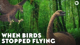 When Birds Stopped Flying [upl. by Inaej]