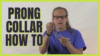 Solid K9 Training How To prong collar [upl. by Sherard930]