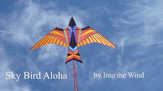 Amazing Sky Bird Aloha kite [upl. by Oinotnas]