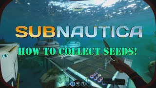 How to get Seeds  Subnautica [upl. by Bron]