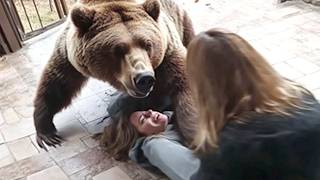 This Grizzly Bear Broke Into This Familys House [upl. by Melitta691]