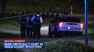 Man shot while walking in Gold Coast Chicago police say [upl. by Demetria]