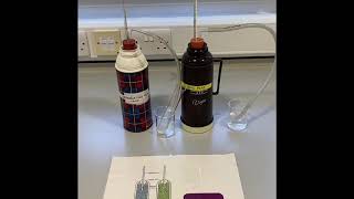 Respiration in germinating peas [upl. by Spohr]