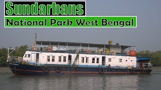 Sundarbans National Park West Bengal  All about journey on ship [upl. by Aronek]