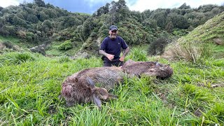 Red meat hunt with the 22 creed moor [upl. by Anerak]