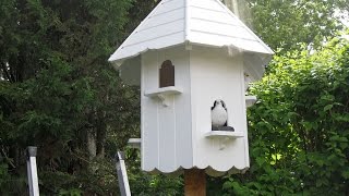 How to build a Dovecote  Part 2 [upl. by Alekim]