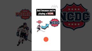 Why you are NOT guaranteed to make the jump to a higher league ahadvising hockey ncaa usphl [upl. by Drofxer]