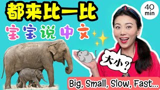 宝宝学说话 比一比大小长短 中文儿歌 幼儿早教 宝宝学中文Big Small long short and more  Baby amp Toddler Learning Chinese [upl. by Alpert]