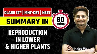 Summary of REPRODUCTION IN LOWER AND HIGHER PLANTS  Botany  Class 12HSCMHTCET NEET [upl. by Vial]