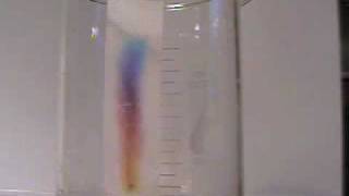 Paper Chromatography Time Lapse Video [upl. by Hsirap]