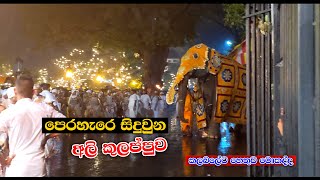 Esala Perahera  කලබල කරපු අලින්ට මොකද උනේ  Kandy Perahera [upl. by Tiff109]