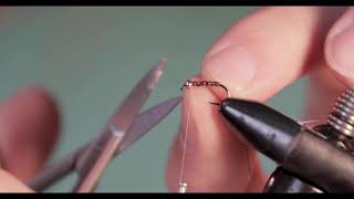 How To Fly Tying  Root Beer Midge  Flies For Arkansas Trout [upl. by Erbe631]