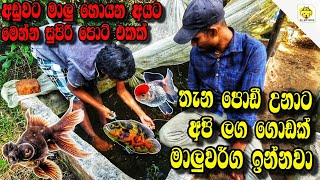 අඩුවට මාලු තොග පිටින් ගන්න  FISH PRICE SINHALA  SL PET SHOW පොඩී උනාට ඇක්වෙරියම් එකෙ මාලු [upl. by Adaner35]