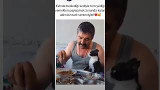 Kedi full yemek yedi o kadar çok yedi ki maşallah helpstrays ask kedi savethestrays animals 🤗🤗🥰 [upl. by Ah]