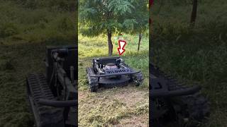 This Machine Clears Bushes in Just Minutes shortsvideo [upl. by Hammond]