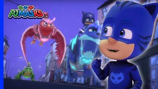 Thieves in the Night Caught  PJ Masks [upl. by Calisa]