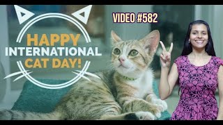 International Cat Day  August 8 [upl. by Nnaitak]