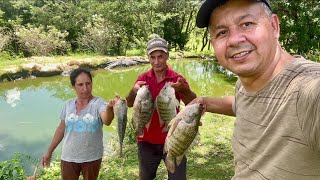 Pescaria no sítio da Suzana filha da dona vicentina dia maravilhoso com eles … [upl. by Schnur]