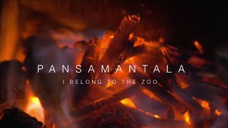 I Belong to the Zoo  Pansamantala Live Acoustic Session [upl. by Anrehs]