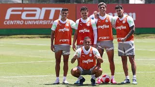 AO VIVO  AS ÚLTIMAS NOTÍCIAS DO PALMEIRAS  A BUSCA POR REFORÇO NA MEIA [upl. by Norym773]