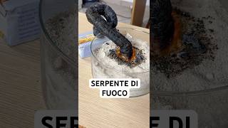 Ho creato un SERPENTE DI FUOCO scienza [upl. by Laresa365]