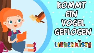 Kommt ein Vogel geflogen  Kinderlieder zum Mitsingen  Liederkiste [upl. by Inalan]