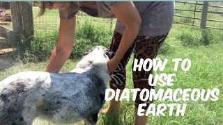 How to Use Diatomaceous Earth for Pest Control [upl. by Ellekram]