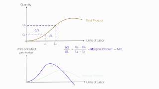 Introduction to Production Introduction Average Product Marginal Product Total Product [upl. by Karie460]