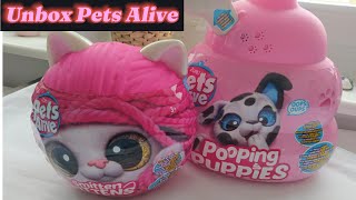 Unbox Pets Alive Smitten Kittens and Pooping Puppies [upl. by Letizia]