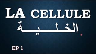 biologie cellulaire ep 1  la cellule procaryotes et eucaryotes [upl. by Tnilc]