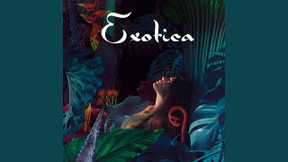 Exotica Radio Edit [upl. by Siclari759]