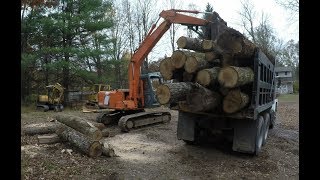 Moving logs and splitting fire wood [upl. by Luebke]