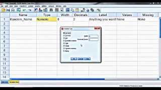 SPSS for Beginners 1 Introduction [upl. by Worrad144]