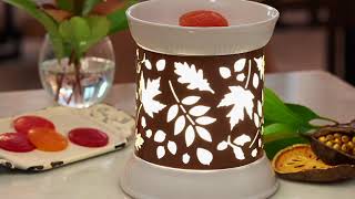 HomeWorx by Harry Slatkin FragranceWarmer with 2 Sleeves and 12 Gelables on QVC [upl. by Aicilihp]