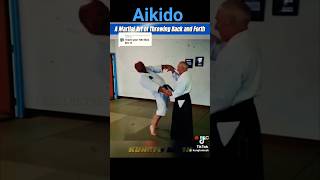 Aikido master amazing skills martial arts extreme stunts strongman extraordinary training strong [upl. by Etnoek467]