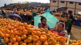 Orange Festival Tamenglong Manipur [upl. by Trescha]