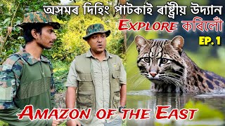 ভাৰতৰ Biggest lowland Rainforest অসমতেই আছে  Episode 1  Exploring Dihing Patkai National Park [upl. by Tildy]