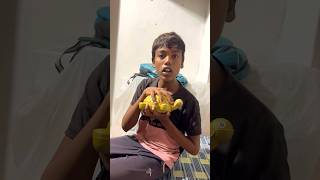 CHOTU KA BABY TURTOL shorts FACTFIREKING [upl. by Nanoc]