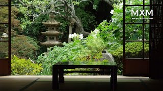 Morikami Museum amp Japanese Gardens HD walking tour [upl. by Korwun745]