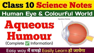 AQUEOUS HUMOUR l Human Eye And Colorful World Class 10 Science Chapter Notes In Hindi and English [upl. by Basile832]