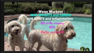 Water Workout for Joint Pain and Inflammation Mature Women [upl. by Enyaht864]