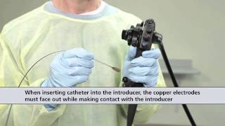 Barrx™ Channel RFA Endoscopic Catheter Procedure Animation [upl. by Gwenn19]