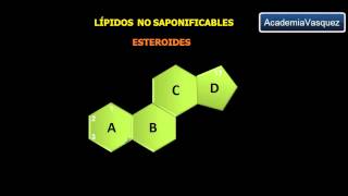 Lípidos no Saponificables [upl. by Euqnimod]