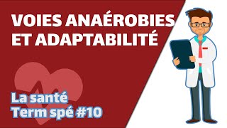 Voies anaérobies et adaptabilité  SVT  SANTÉ Term spé 10  Mathrix [upl. by Schear]